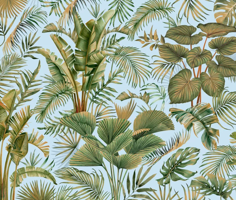 Manaus Savanna Wallpaper Mural