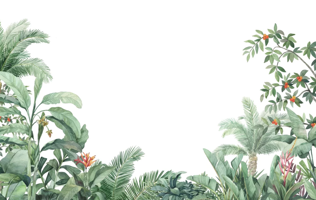 Tropical Arrangement Wallpaper Mural